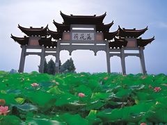 -荷花荡