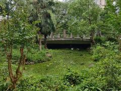 -苏州河梦清园环保主题公园