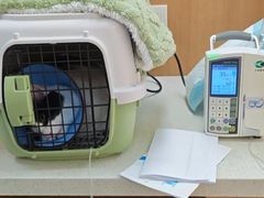 -联合动物医院(光谷诊疗中心)