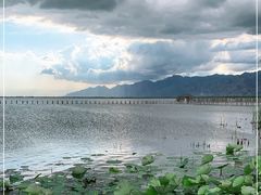 -哈素海