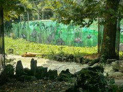 -黔灵山公园