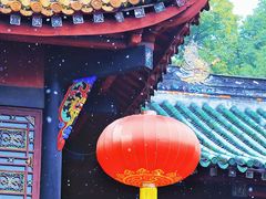 -青羊宫