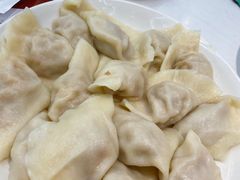酸菜猪肉水饺-枫林饺子
