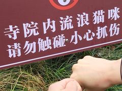 -西园戒幢律寺