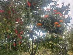 -白云山索道-售票处