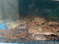 -宾朋美食海鲜餐厅·特色美食专访(兴海路店)