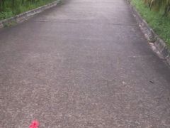 android_upload_pic-永记生态园