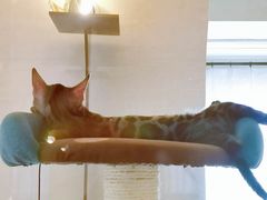 -Me Coffee下午茶艺术空间