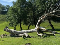 -新疆那拉提国家旅游度假区