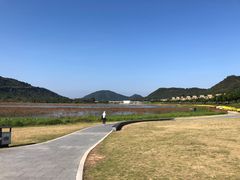 -风云岭森林公园