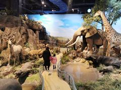 -陕西自然博物馆