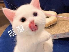 -何太太馄饨面铺(大浒东苑店)
