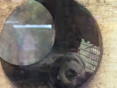 -上海大自然野生昆虫馆(东方明珠·爬宠昆虫探索中心)
