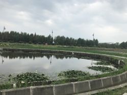-水八仙生态园
