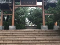 -阳台山自然风景区