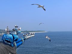 -大连老虎滩海洋公园