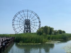 -苏州太湖湖滨国家湿地公园