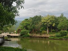-碧水湾温泉