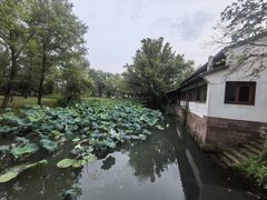 -烟水渔庄餐厅(西溪湿地店)
