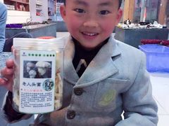 -蘑统田下·野生菌火锅