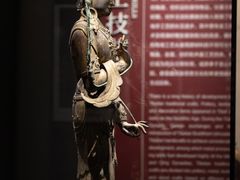 -四川大学博物馆