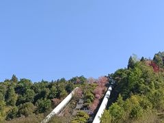 -墨江北回归线标志园