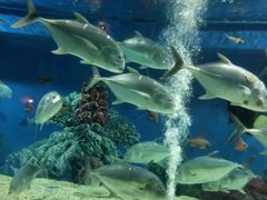 -成都浩海立方海洋公园