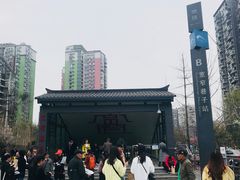 -宽窄巷子(地铁站)