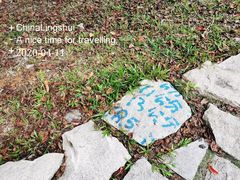 -海南热带雨林国家公园吊罗山景区