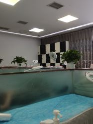 -悟空祛痘·亚健康皮肤管理中心