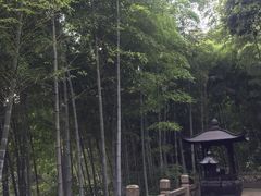 -韬光茶庵