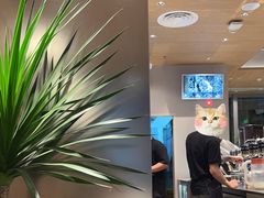 -Peet's 皮爷咖啡(望京小街店)