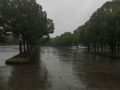 -安飞驰驾校·学车连锁(金高店)