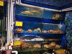 -蚝专家(北滘店)