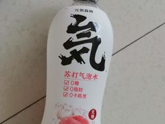 元气森林氦苏打气泡水-刘全福吊炉烧烤王(东江路店)
