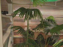 -湊湊火锅·茶憩(皇姑万象汇店)