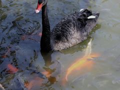 -海南热带野生动植物园