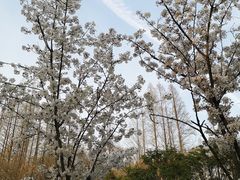 -T80科技文化国际社区-停车场