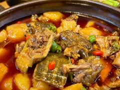 -青城甲(青城山店)