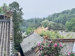 -潭柘寺景区