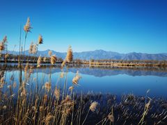 -野鸭湖国家湿地公园