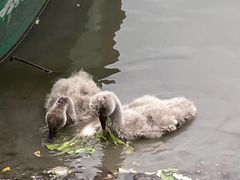 -金桥现代产业园区-停车场