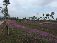 邛海湿地公园-西昌邛海湿地
