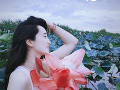 -苏州太湖国家湿地公园