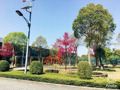 -深圳东部华侨城茵特拉根酒店