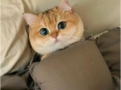 -猫岛主趣味餐厅(鼓浪屿店)