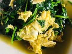 拌菜炒鸡蛋-麻辣渔夫(赵辛店)