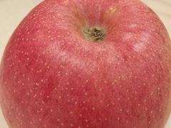 -海底捞火锅(高科广场店)