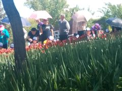 -长春公园(普阳街道)