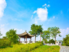 -南海子公园